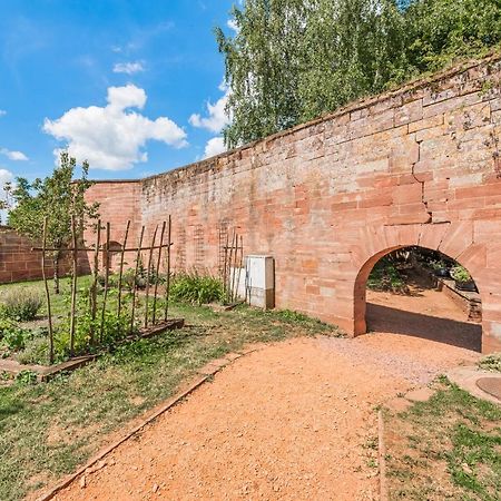Havre De Paix Au Pied Du Chateau Et Des Remparts La Petite-Pierre Dış mekan fotoğraf